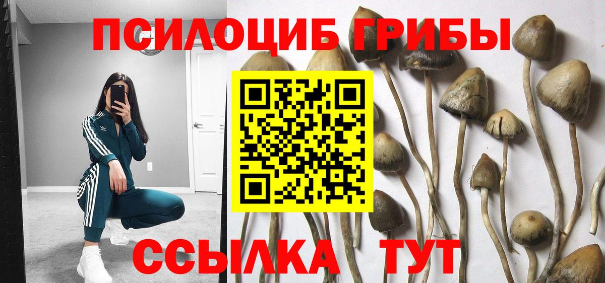 NBOMe  ГАШ  Вход с VPN  Кокаин  Меф   Бошки Шишки  Тайшет  Амфетамин кристаллы 