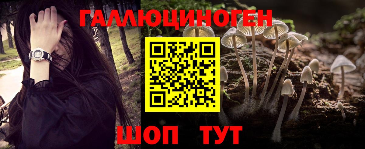 Псилоцибиновые грибы GOLDEN TEACHER Тайшет